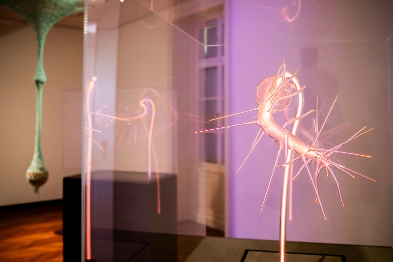 Skulptur mit spitzen, transparenten Elementen in einem Ausstellungsraum mit sanfter Beleuchtung.