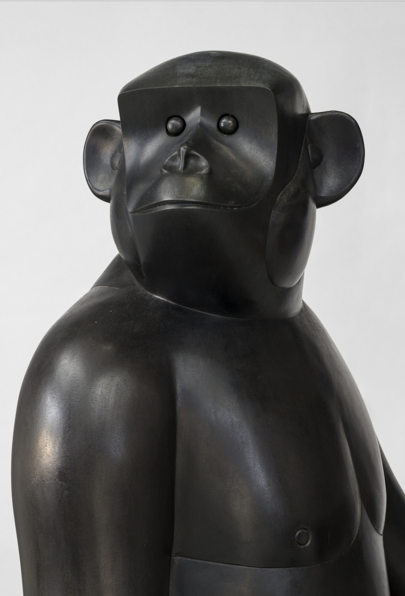 Eine Skulptur die den Torso eines Gorillas zeigt, blickt den Betrachter an.