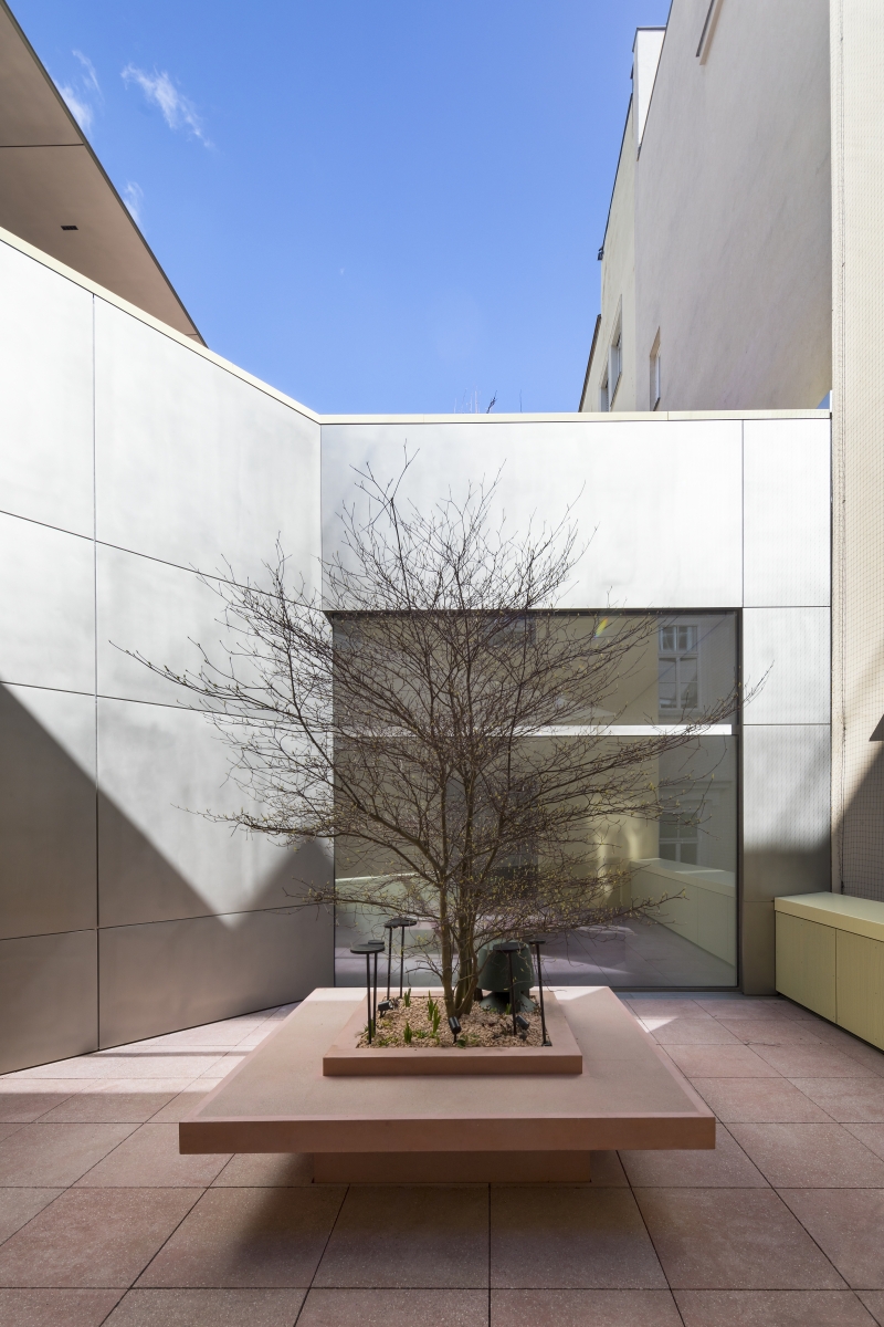 Minimalistischer Innenhof mit einem kahlen Baum auf einer sandfarbenen Plattform, umgeben von modernen Wänden und blauem Himmel.