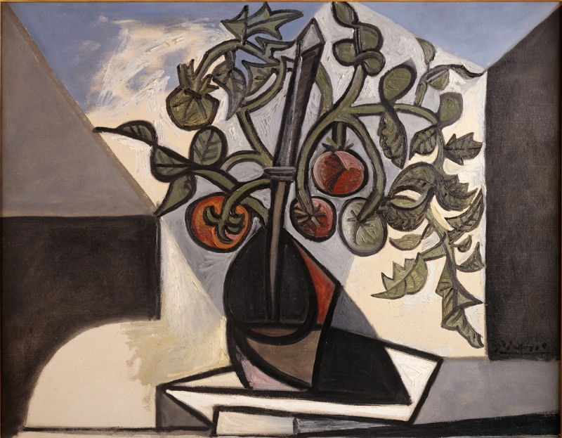 Pablo Picasso, Plant de Tomate, 1944