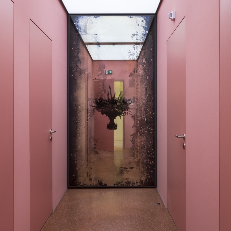 In the picture we see a room with a mirror with a bouquet of flowers in the middle.
The room has pink-painted walls and doors to the left and right.
The mirror is at the end of the room. The edges of the mirror are dark and speckled, like an old photo or movie.
The artwork is by Andreas Duscha.
He made the mirror himself, according to an old recipe from the 17th century.
In the middle you can see an arrangement of flowers - it is a screen print on the mirror surface.
The flowers on the mirror have a deeper meaning:
They stand for social crises and revolutions.
A bouquet is a reminder of revolutions, for example: the Carnation Revolution in Portugal or
the Tulip Revolution in Ukraine.
Duscha is interested in hidden stories and connections.
He uses old techniques and special materials,
to make themes such as power, change and history visible in a quiet, poetic way.
This artwork is part of a series of four mirrors,
, which hang in the anteroom of the Heidi Horten Collection museum toilets.
Each mirror tells its own story - through plants and symbols.