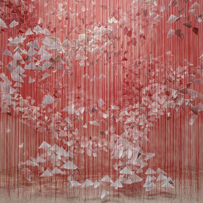 Die Installation füllt einen Ausstellungsraum mit einem dichten Geflecht aus leuchtend roten Fäden, die von der Decke bis zum Boden gespannt sind. Innerhalb dieses Netzes schweben hunderte weißer Papierbögen – sie wirken wie gefaltete Briefe, lose Blätter oder kleine Flügel. Die Briefe breiten sich wie in einer Luftbewegung spiralförmig nach oben oder außen auszubreiten. Die rote Farbe der Fäden dominiert den Raum. Die Fäden sind so zahlreich und dicht, dass sie aus der Ferne wie ein schimmernder Vorhang wirken, der die Grenzen des Raums verändert und ein begehbares, fast körperliches Erlebnis erzeugt.